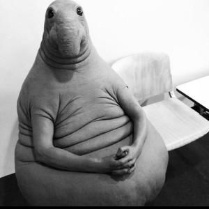 Meet your Posher, Dalton